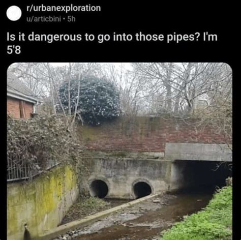 Looking For Someone To Find Funny Reddit Posts .